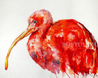 ibis paint x pink logo
