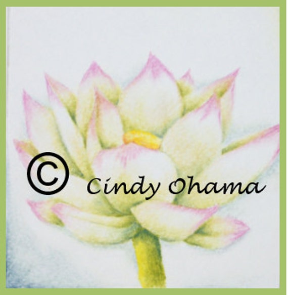 Lotus Flower Colored Pencils by Cindy Ohama by ArtWithCindyOhama