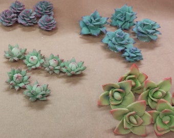 12 - Set of Extra Small Succulents Fondant Cupcake or Cake Toppers