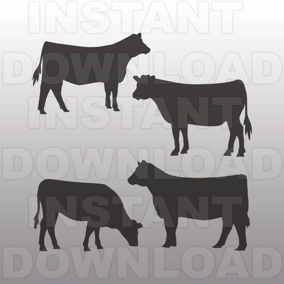 Show Heifer SVGLivestock svgFarm Animal SVG File-Cutting