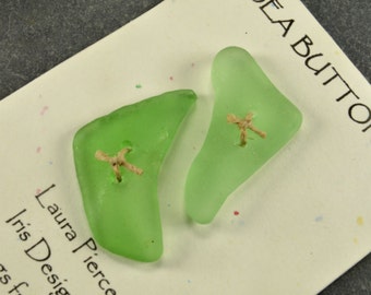 Curves two glowing sea foam green genuine Maine sea glass buttons eco friendly accent for sweaters shawls jackets and jewelry craft