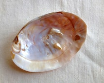 002 Shell Ring Dish main image 1