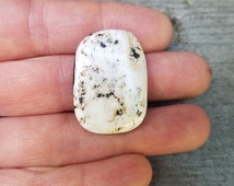 buffalo turquoise