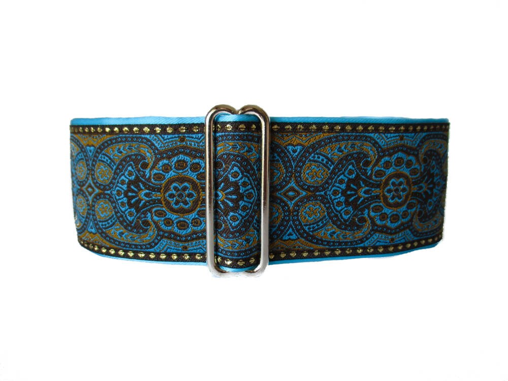 Turquoise Martingale Collar 2 Inch Martingale Collar