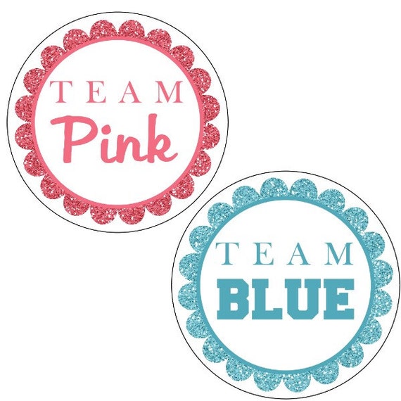 Team Pink Or Team Blue Printable Printable Word Searches