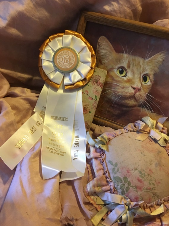 Vintage CFA CAT Show Satin Ribbon Rosette Award Second Best