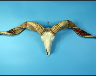 Real pigeon dove skeleton specimen with display case by lovefuture