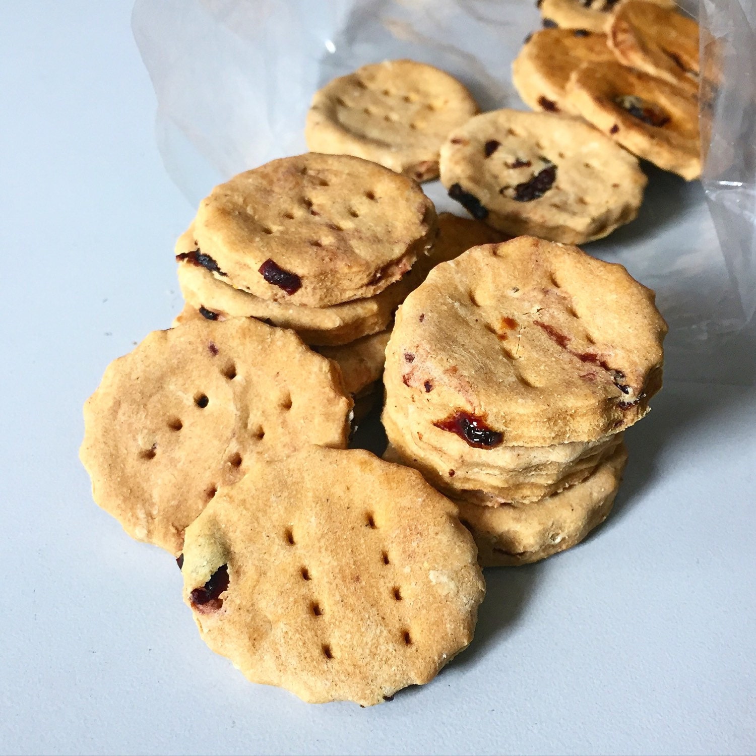 Blueberry Pumpkin Pie Dog Treats 2 Dozen Organic Pumpkin