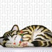 glowing eyes tabby cat pillow