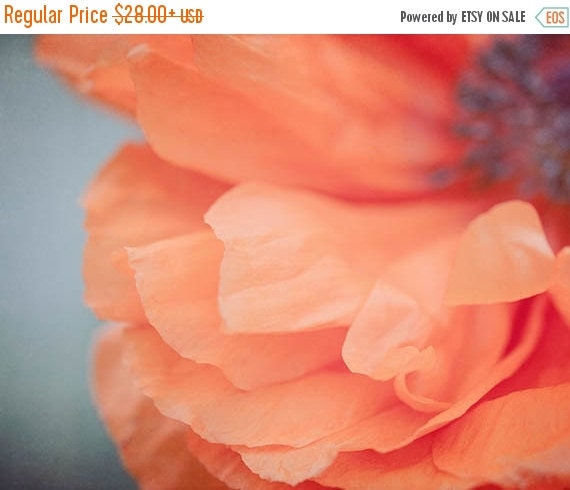 SALE Flower Photograph Poppy Flower Wall by SuzanneHarfordPhoto