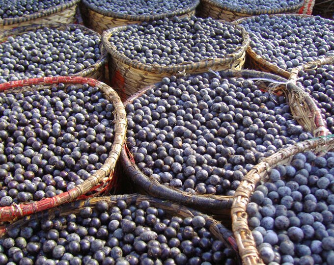 Acai Berry Seed Oil. Brazilian Wild Harvested, Raw Cold Pressed Acai Berry Seed Oil. Pure and undiluted.
