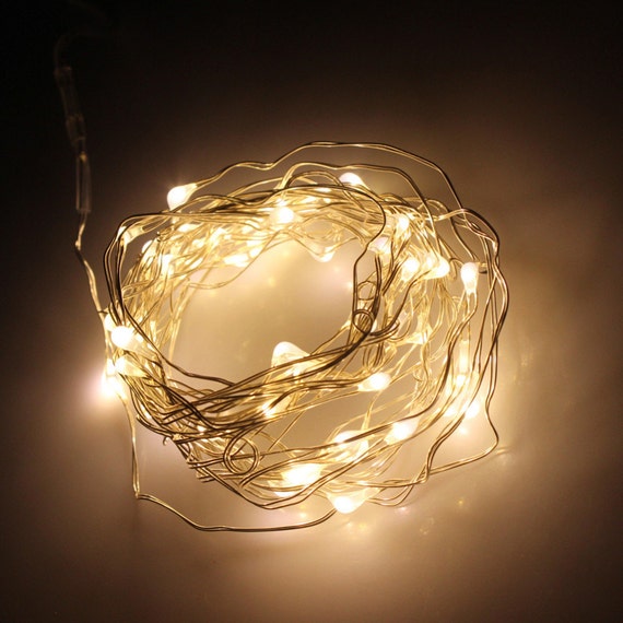 Warm White Fairy Lights LED String Light AA Battery Operated