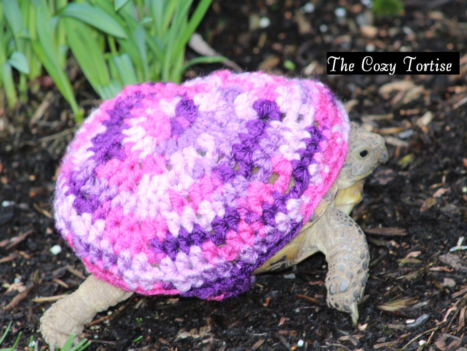 Purple Purples Tortoise Cozy Made To Order by TheCozyTortoise