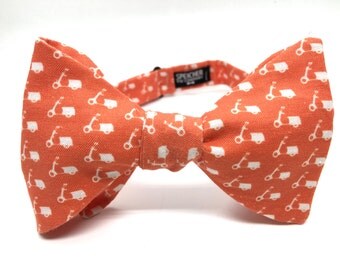 Einstein Physics Bow Tie bowtie bowties bow by SpeicherBowTieCo