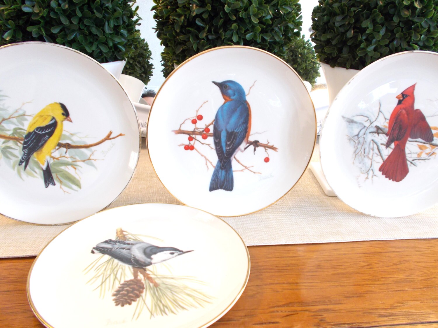 Song Bird Plates National Wildlife Federation Bird Plates