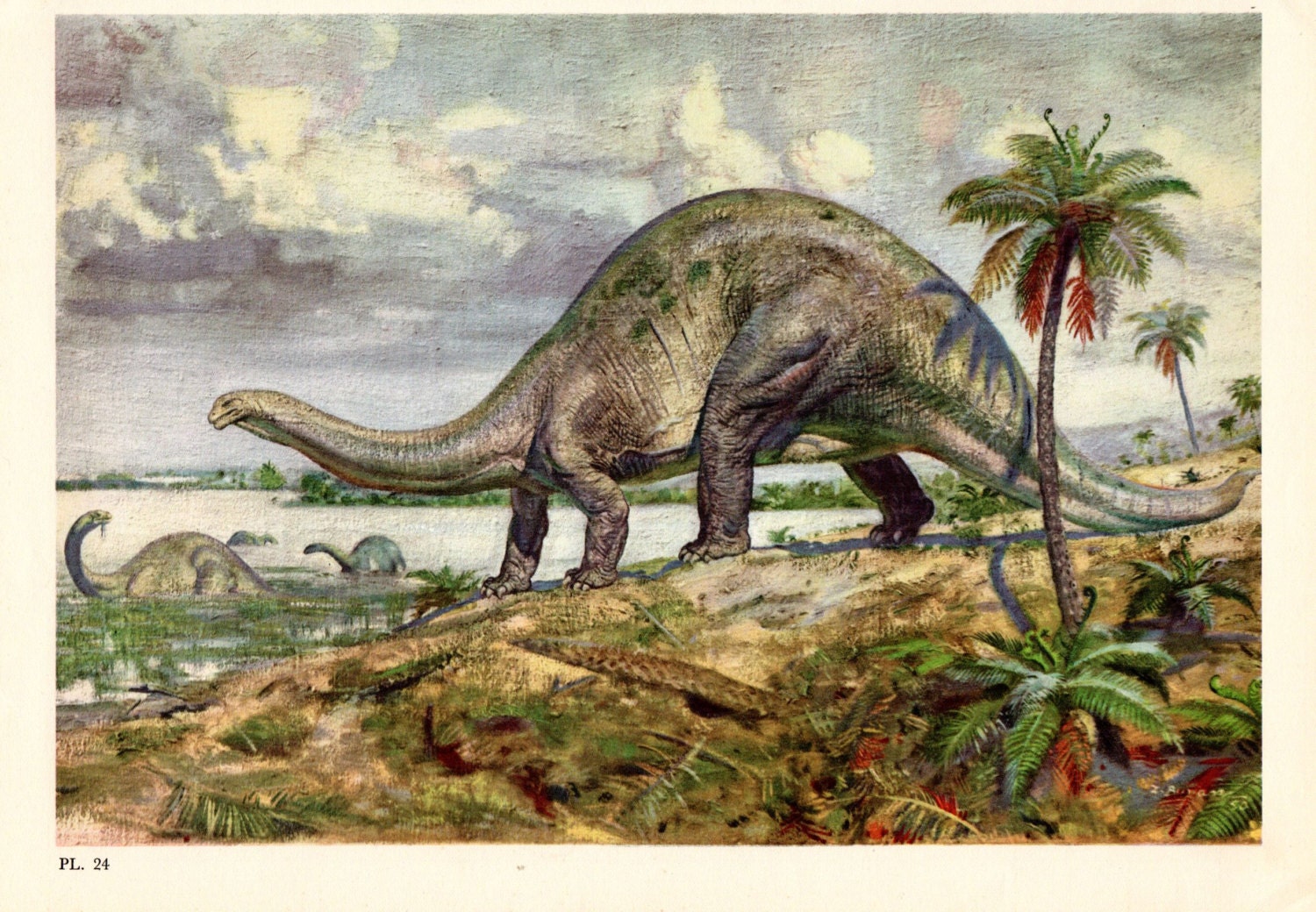 vintage brontosaurus