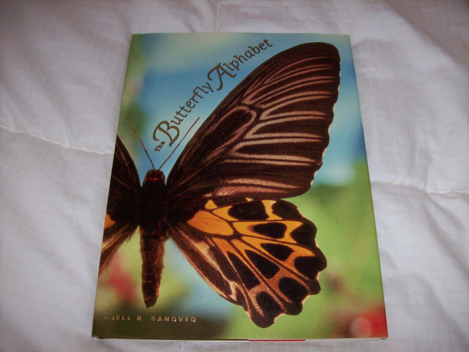 The Butterfly Alphabet Book by Kjell B. Sandved
