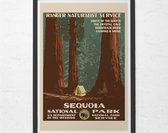 REDWOODS National Park Poster - Vintage Sequoia Travel Poster - Vintage California Travel Poster, Travel Print, Wall Art, Ribba Size