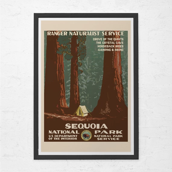 vintage travel poster redwoods