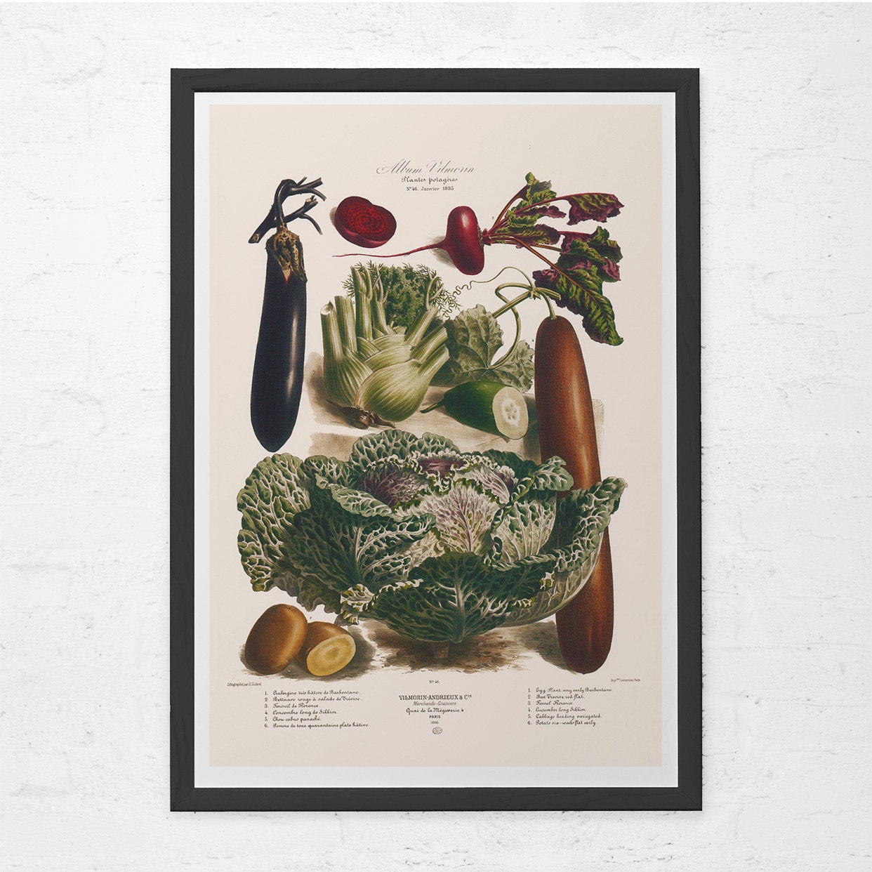 ANTIQUE KITCHEN PRINT Vintage Vegetable Print Antique Food