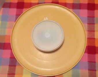 Tupperware Dip N Serve Harvest Gold Party Tray