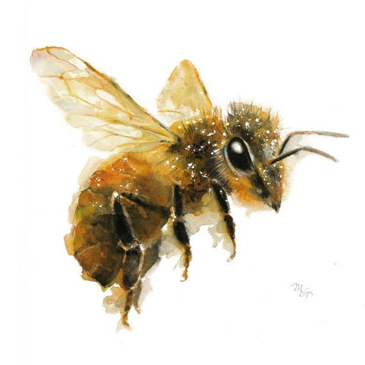 Honey Bee painting Art Print. Nature by MiraGuerquin on Etsy