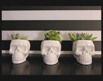 Minimal Planter, Minimalist Planter, Cactus planter Gifts, Air plant holder, Human Skull Decor, Cactus planter pots, Happy Planters