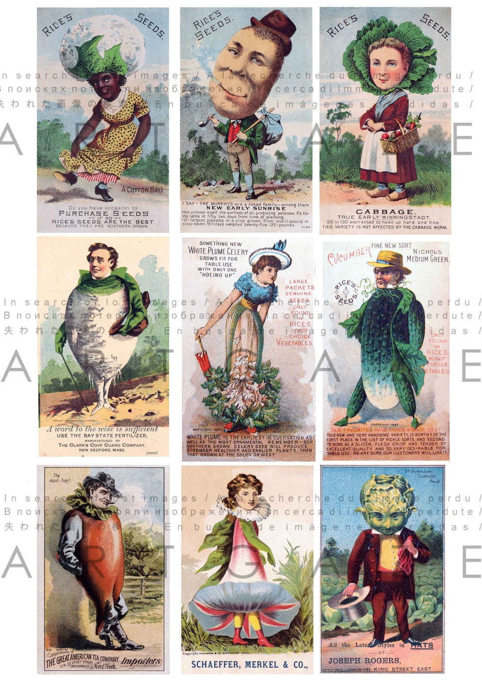 decoupage ireland Antique Vintage Veggie ! Victorian SEED People PACKETS.