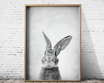Gray Rabbit Art Bunny Printable Art Print Download Animal Print Nursery Print Rabbit Poster