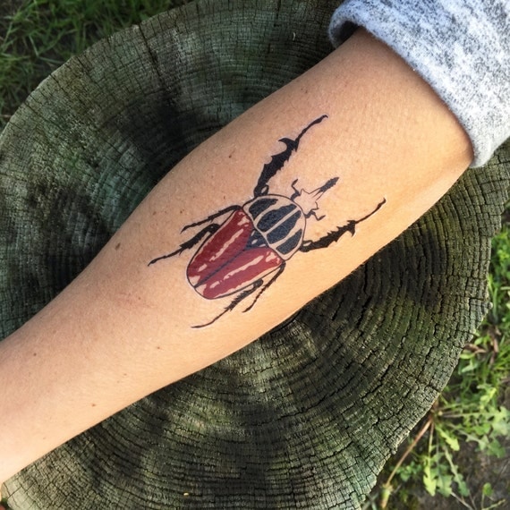 Goliath käfer tätowierung rot schwarz und weià käfer von naturetats