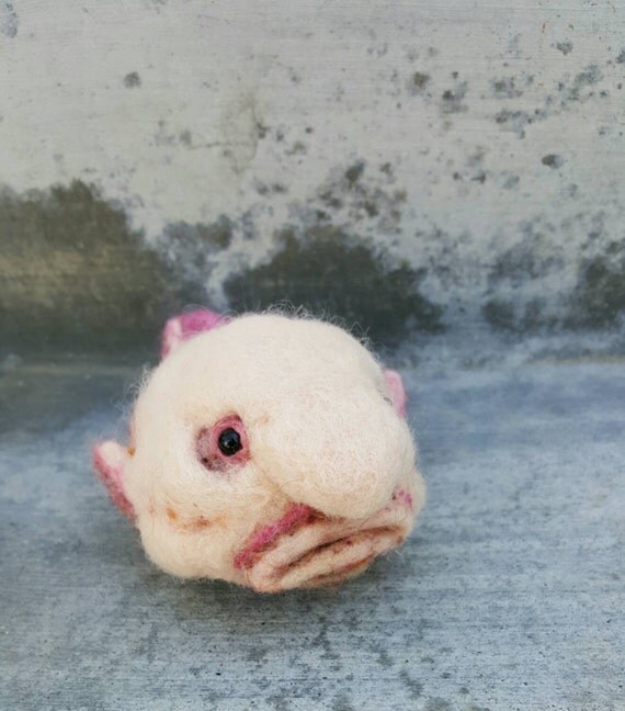 Blob fish needle felted blobfish sculpture pink fish by nodsu
