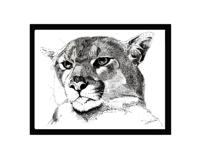 Mountain lion print | Etsy