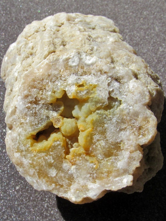 Druzy Yellow Botryoidal Fossil Geode Indiana Geodized Fossil