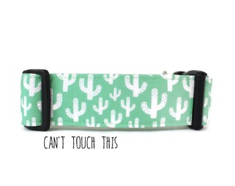 Dog Collar, Boy Dog Collar, Girl Dog Collar, Cactus Dog Collar, Southwest Dog Collar, Small, Large (Upgrade to Metal Buckle or Martingale)