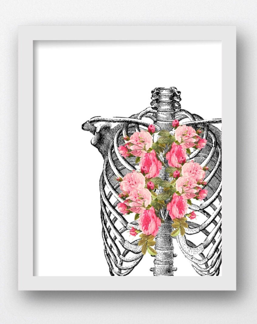 Skeleton Rib Cage Flowers Pink Roses Floral Pop Art Print