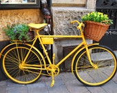 Fine Art Color Photograph, Yellow Bicycle with Flowers, Cracow, Poland, Fine Art Color Photograph, Yellow Bicycle with Flowers, Cracow, Poland,