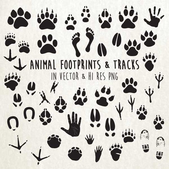 animal tracks clipart - photo #21