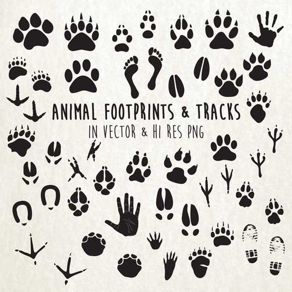 clipart dog tracks - photo #39