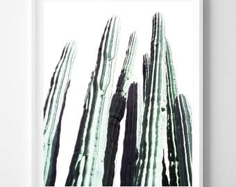 Cactus print, Desert art, Minimalist, Nature photo, Modern art, Wall art decor, Digital art, Printable art, Digital Instant Download 16x20