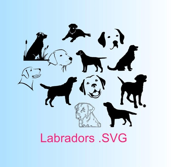 Download lab labrador retriever SVG Cut File for by OhThisDigitalFun