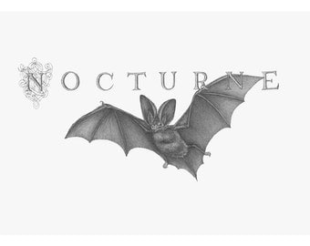 5.5" x 9" Limited Edition Giclee Print of Original Illustration of "Nocturne"