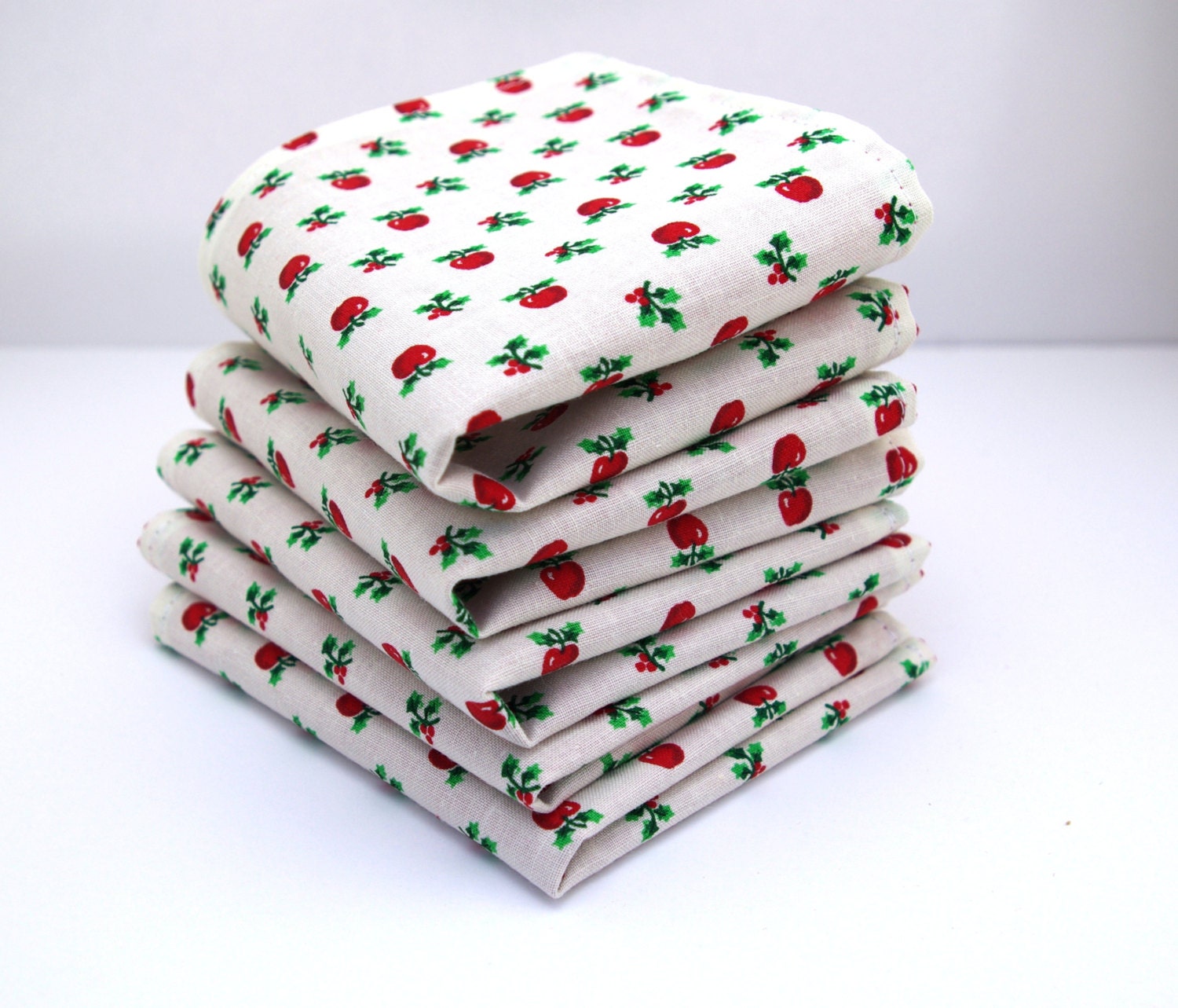 Lunch Box Napkins Set of 5 An Apple A Day napkin Apple