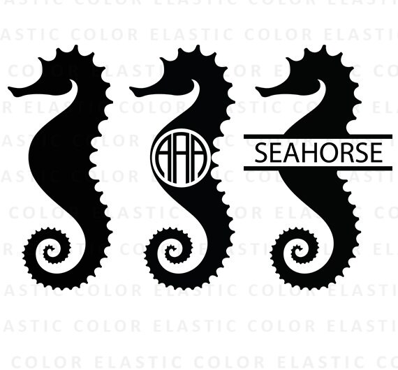 Seahorse svg sea horse clipart seahorse monogram vector