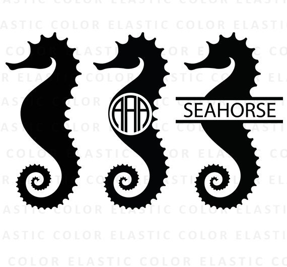 Download Seahorse svg sea horse clipart seahorse monogram vector