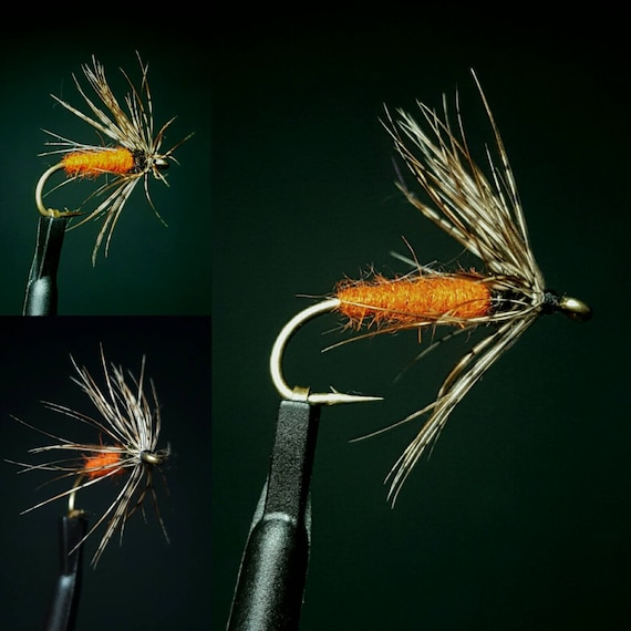October Caddis Soft hackle Wet fly