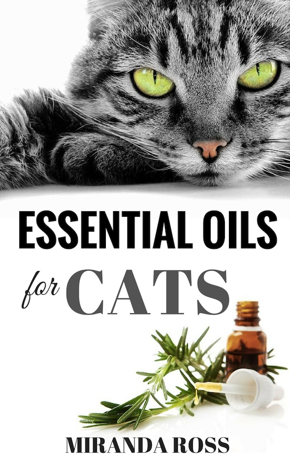 Essential Oils For Cats: Safe & Effective Therapies And