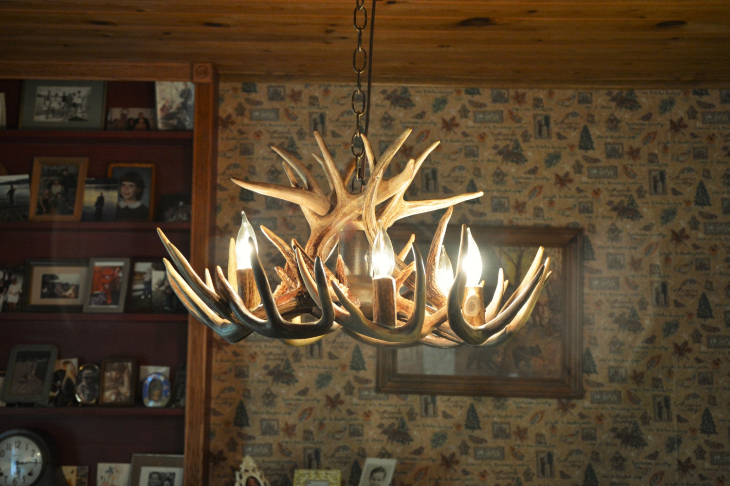 24 inch Real Whitetail Deer Antler Chandelier. Center Down