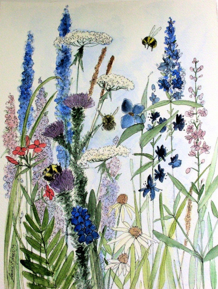 Download Wildflower in Garden Watercolor Flower Print Illustration