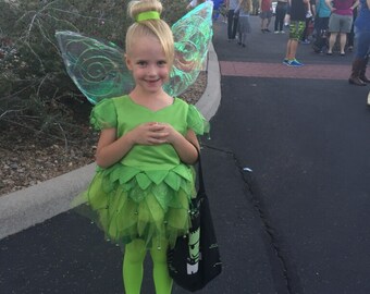 TinkerBell Costume with wings