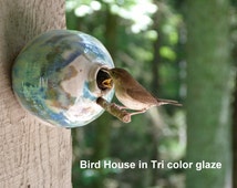 Pottery Birdhouse bottle for wrens finches and chickadees In Tricolor Glaze** Ready to ship!!